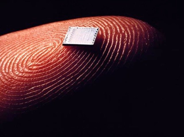 Microchip